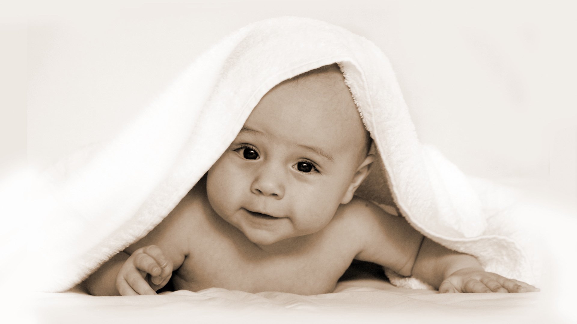 佛山捐卵机构2015试管婴儿成功率
